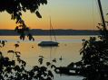 IMG_3583C.jpg